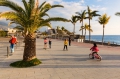 16 Mar 2014, Arrecife, Lanzarote, Spain --- Promenade and palm trees --- Image by © Frank Lukasseck/Corbis